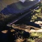 Fotka nr 4 z 14