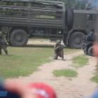 Fotka nr 1 z 107