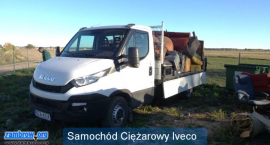 Fotka nr 5 z 7