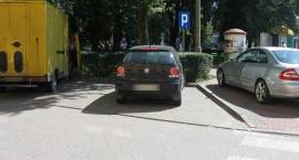zdjęcie nr 7