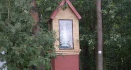 zdjęcie nr 7