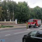 Fotka nr 5 z 7