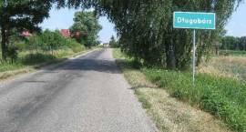 zdjęcie nr 13