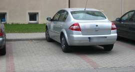 zdjęcie nr 7