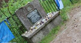 zdjęcie nr 46