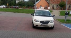 zdjęcie nr 13
