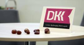 zdjęcie nr 10