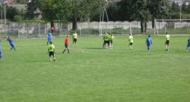 zdjęcie nr 12