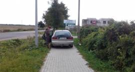 zdjęcie nr 11