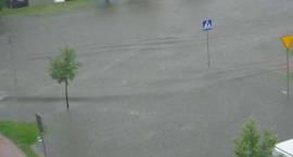 zdjęcie nr 41