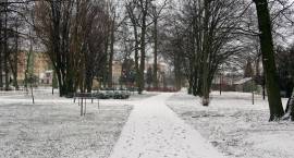 zdjęcie nr 28