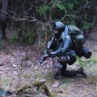 Fotka nr 2 z 6