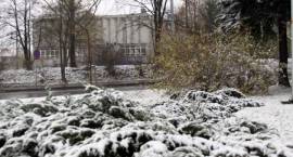 zdjęcie nr 8