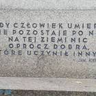zdjęcie nr 41