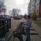Fotka nr 4 z 24