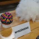 zdjęcie nr 63