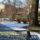 zdjęcie nr 41