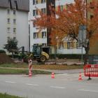 Fotka nr 3 z 13