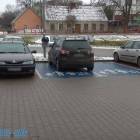 Fotka nr 3 z 32