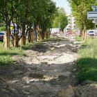 zdjęcie nr 22