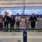 zdjęcie nr 19