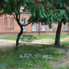zdjęcie nr 19