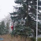 zdjęcie nr 8