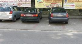 zdjęcie nr 9