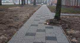 zdjęcie nr 15