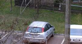zdjęcie nr 7