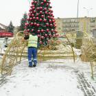 zdjęcie nr 17