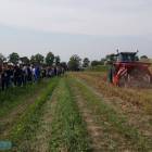 zdjęcie nr 22