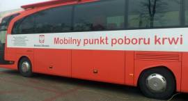 Fotka nr 1 z 8