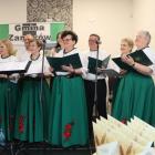zdjęcie nr 181