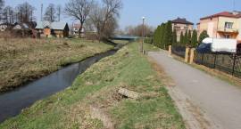 zdjęcie nr 9