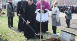zdjęcie nr 24