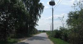 zdjęcie nr 11