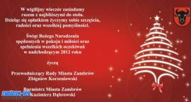 zdjęcie nr 8