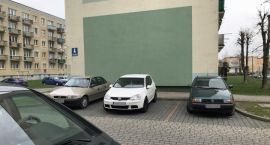 Fotka nr 5 z 30