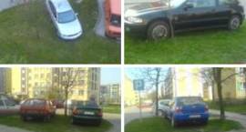 zdjęcie nr 9