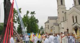 zdjęcie nr 7
