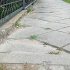 zdjęcie nr 9