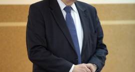 zdjęcie nr 11
