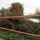 zdjęcie nr 15