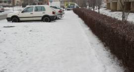 zdjęcie nr 18