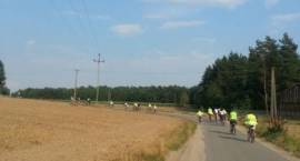 zdjęcie nr 42