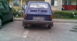 zdjęcie nr 7