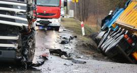 zdjęcie nr 16