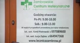 zdjęcie nr 21