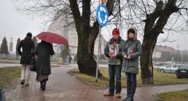 zdjęcie nr 7